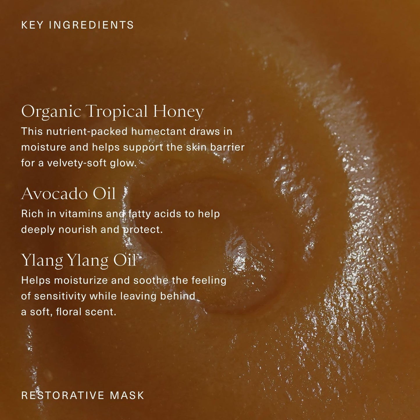 Oak Essentials Restorative Mask, Organic Honey Face Mask with Avocado Oil and Ylang Ylang Oil, Hydrating Skincare for Dry Skin, 1.9 Oz