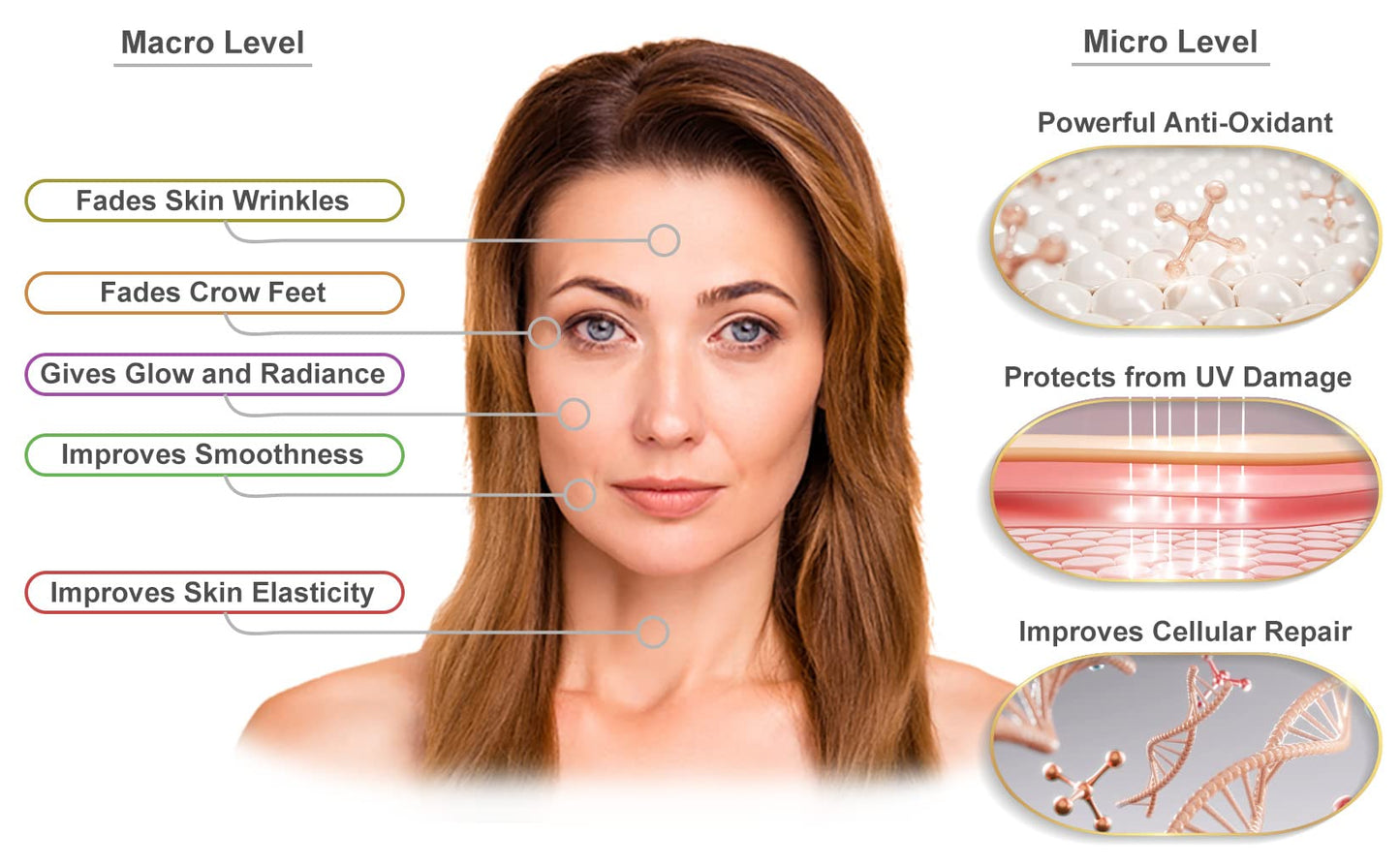 Ageless Defense -Cellular Restorative Astaxanthin Face Serum -by Visage Pure-Astaxanthin and Resveratrol Antiaging Serum. Protects the Skin From Aging-Organic-Physician Formulated-Research Supported