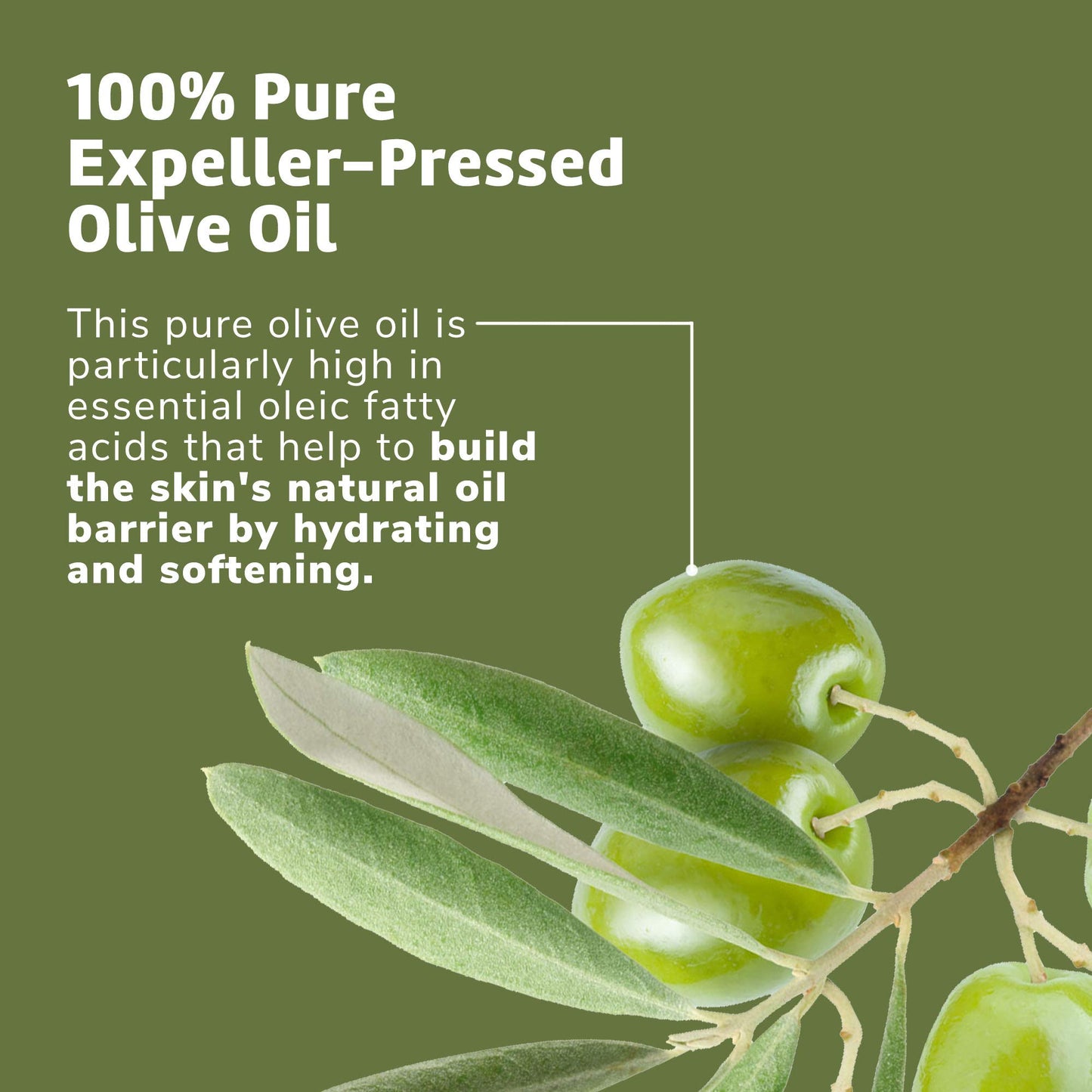 De La Cruz 100% Pure Olive Oil Expeller Pressed for Hair and Skin Lightweight Hair Oil and Moisturizer for Dry Skin and Beauty 2 Fl Oz (2 Bottles)