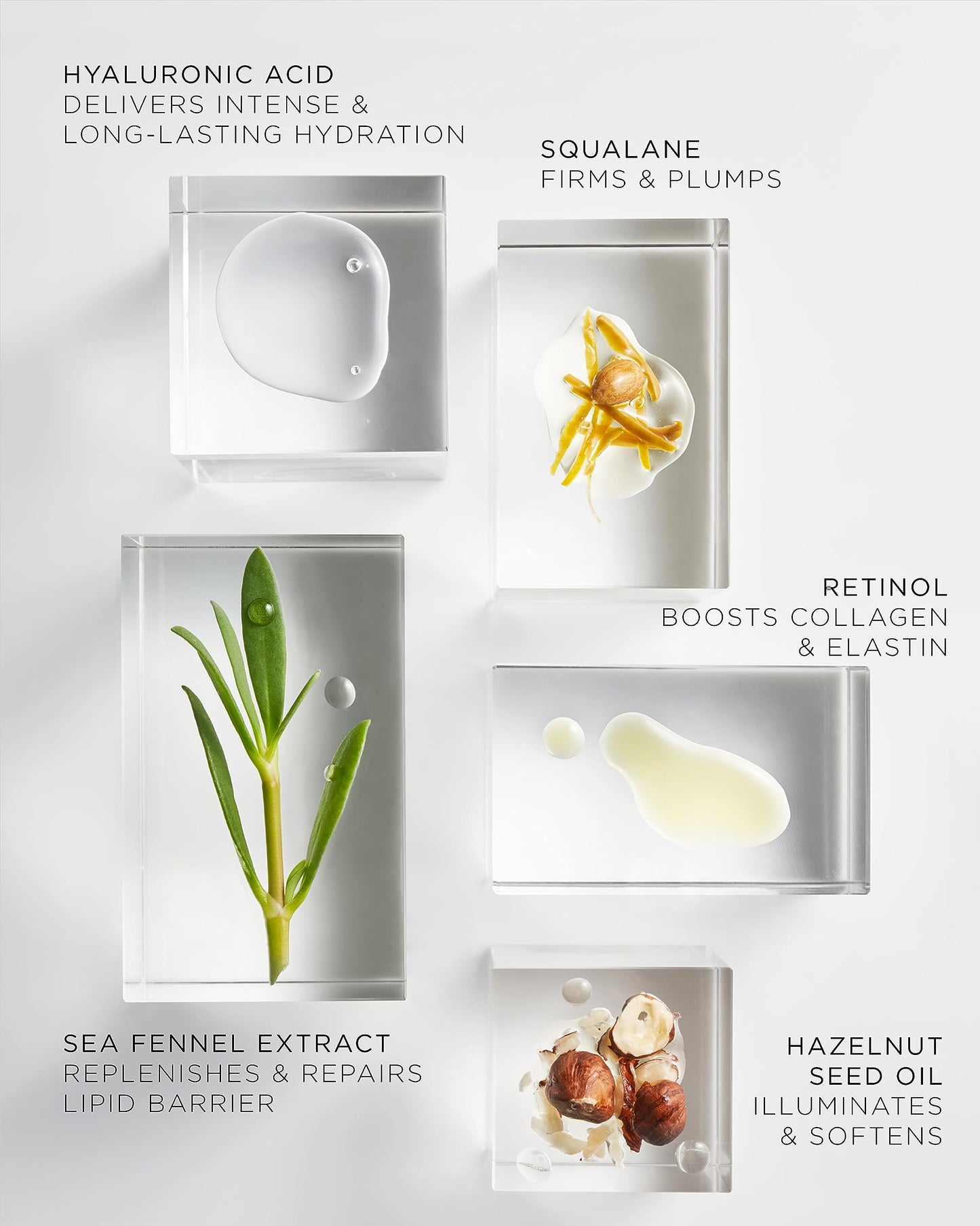 The Absolute Nourishing Lift Oil, 30 Doses