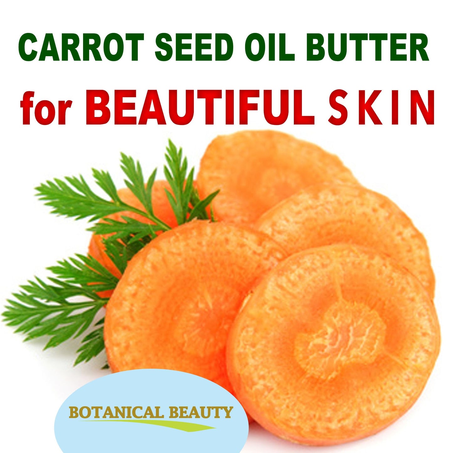 Botanical Beauty CARROT SEED OIL BUTTER Pure Natural Virgin Unrefined RAW 4 Fl. Oz.- 120 ml for FACE, SKIN, BODY, DAMAGED HAIR, NAILS. Rich in Beta Carotene, Vitamin E