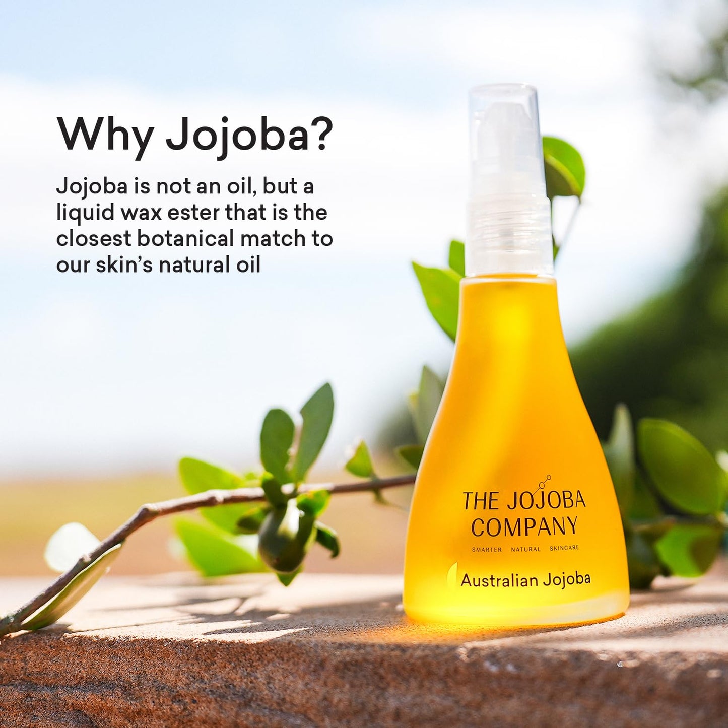 Australian Jojoba – Wadi-Wadi Jojoba Oil – Cold Pressed & Sustainably Grown – With Vitamins A, D & E – Hypoallergenic, Non-Comedogenic, Cruelty-Free – For Face, Body, Hair – 85ml