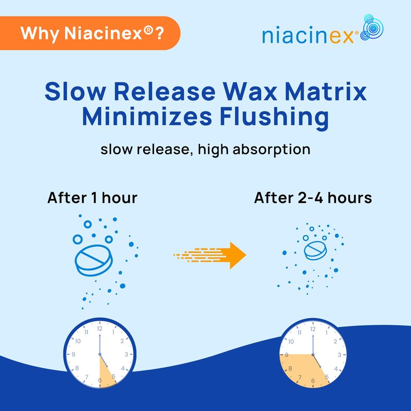Niacinex Niacin 500mg Extended Time Release, 200 Tablets, Minimal to No-Flush, Vitamin B3 Supplement - Cholesterol Balance, Nicotinic Acid Vegan, cGMP, made in the USA