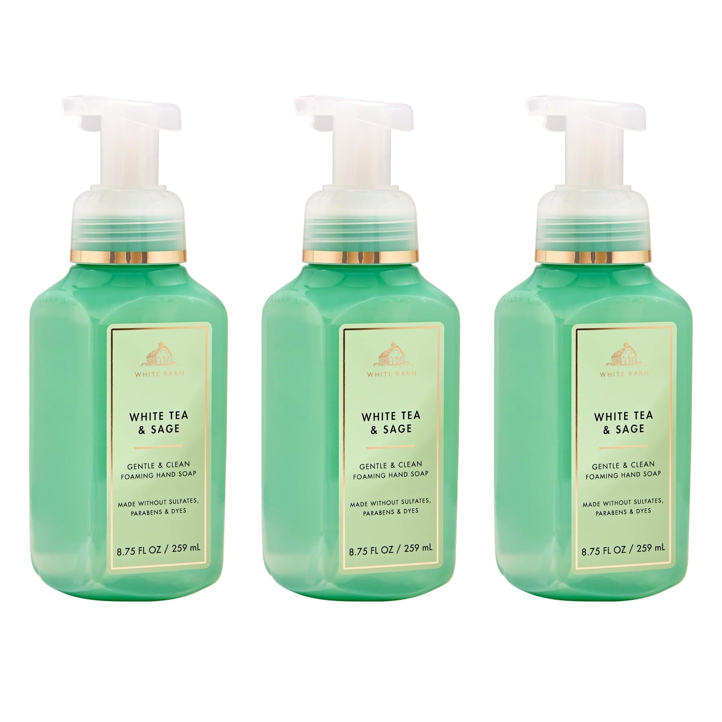Bath & Body Works White Tea & Sage Gentle & Clean Foaming Hand Soap - Germ-Cleansing Hand Soap with Gentle Cleansing & Conditioning Formula - Dermatologist Approved - Thoughtful Gift - 3-Pack