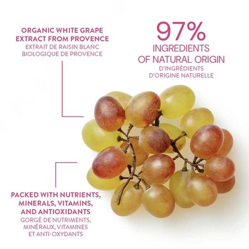 Panier des Sens - Hand Cream for Dry Cracked Hands - Grape Hand Lotion with Shea Butter & Grape Seed Oil - Vitamin E Skin Moisturizer with 97% Natural Ingredients - Made in France, 2.5 fl oz