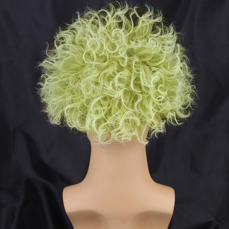 BERON Green Ombre Wigs Clown Bald Short Curly Wavy Hair Wig Boys Men Gothic Halloween Costume Cosplay Party Wigs