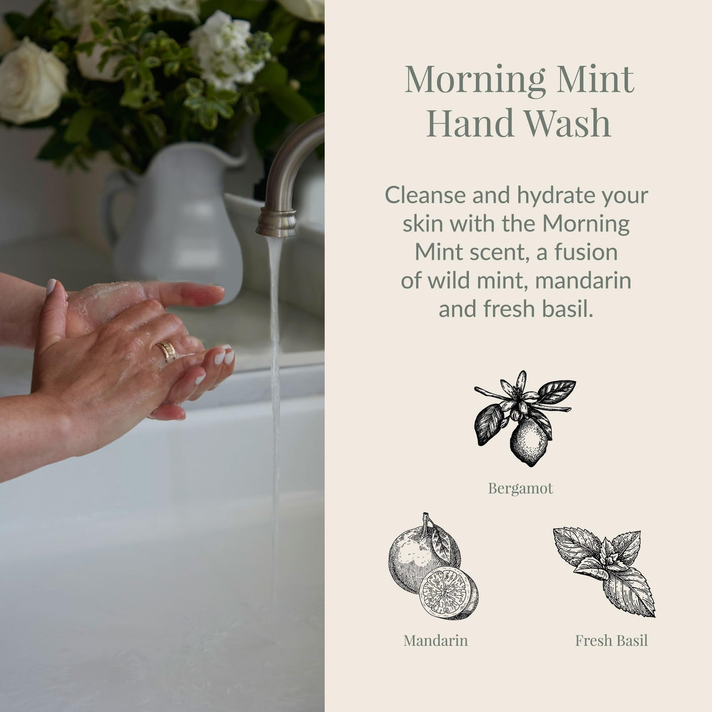 Archipelago Botanicals Morning Mint Liquid Hand Soap, Moisturizing Daily Hand Wash with Soap Pump, Kitchen or Bathroom Hand Soap, 17.0 Fl. Oz.