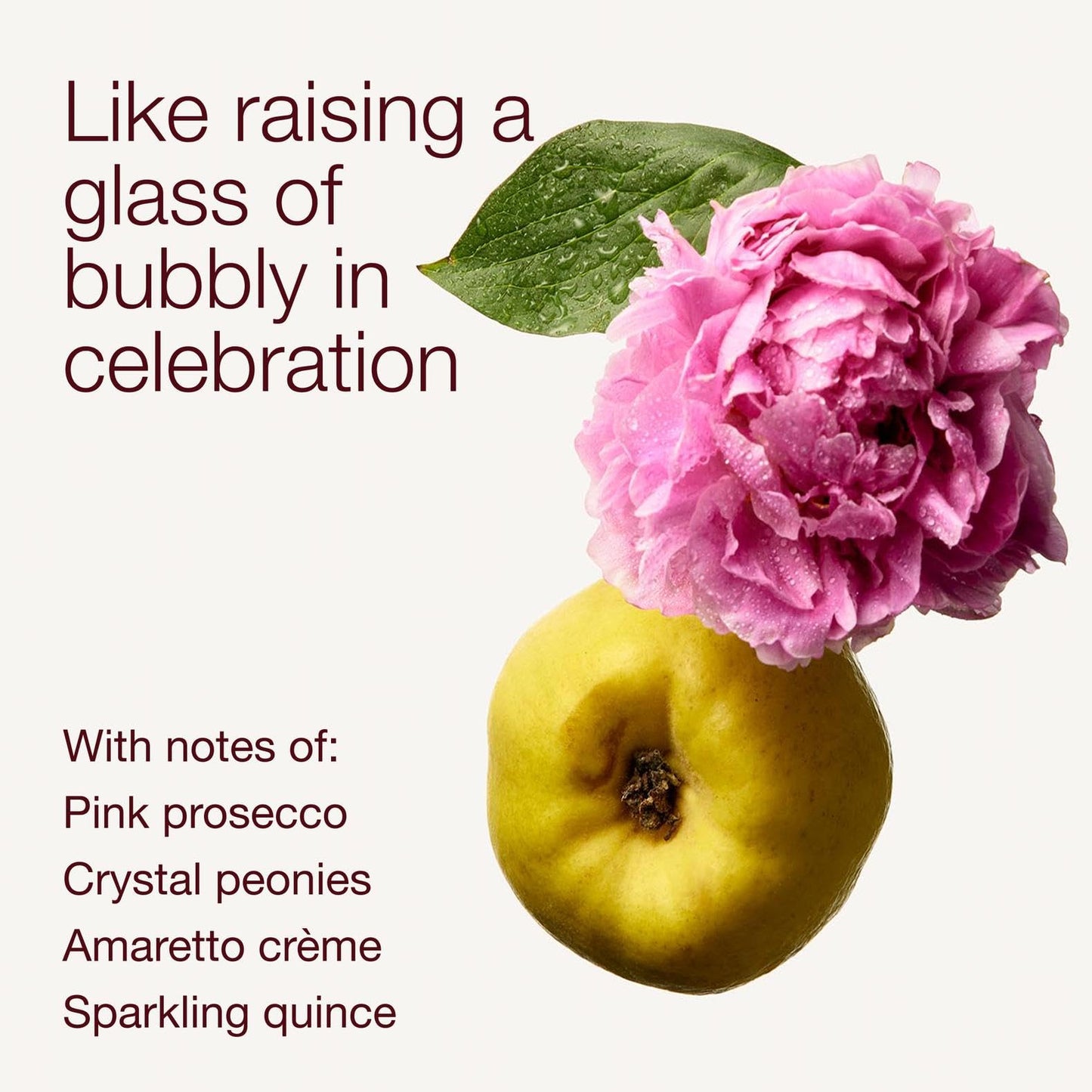 Bath & Body Works A Thousand Wishes Fine Fragrance Mist, Body Spray & Perfume for Women, Long-Lasting Personal Fragrance, Sparkling Prosecco & Peony Scent, 8 fl oz - 1 Pack