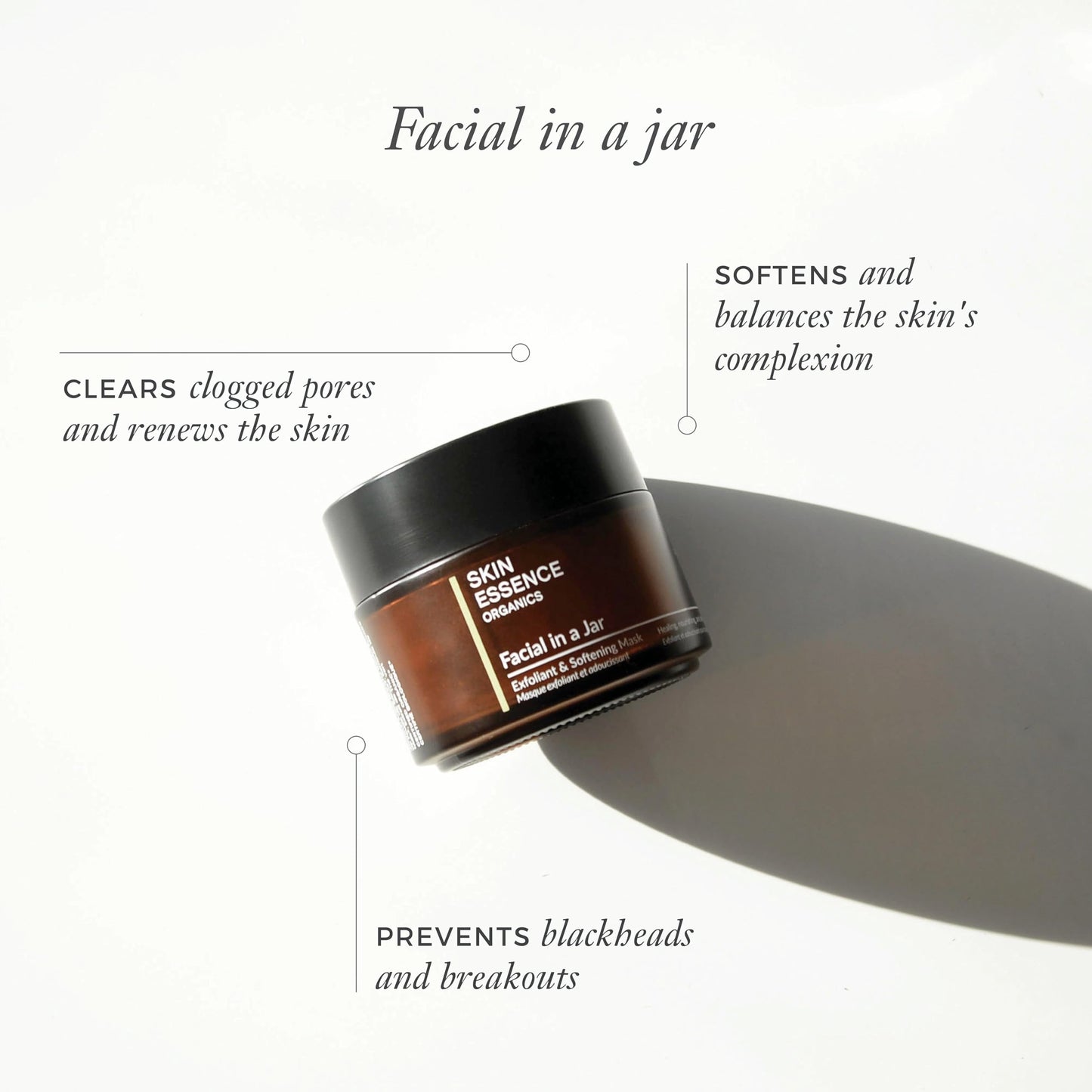Skin Essence Organics Facial in a Jar Exfoliant & Softening Mask