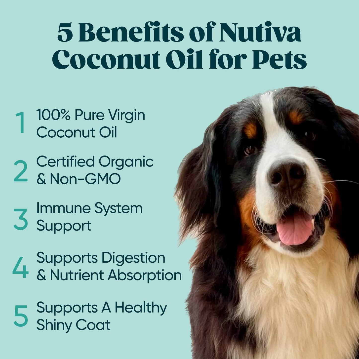 Nutiva Organic Cold-Pressed Virgin Coconut Oil, 54 Fl Oz (2 Pack) USDA Organic, Non-GMO, Whole 30 Approved, Vegan, Keto, Fresh Flavor and Aroma for Cooking & Healthy Skin and Hair