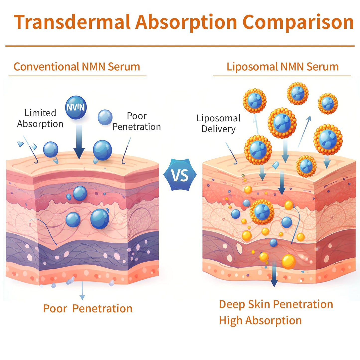 Fresh Activated Liposomal NAD+ Serum 20,000 ppm, 99% Purity Face Serum