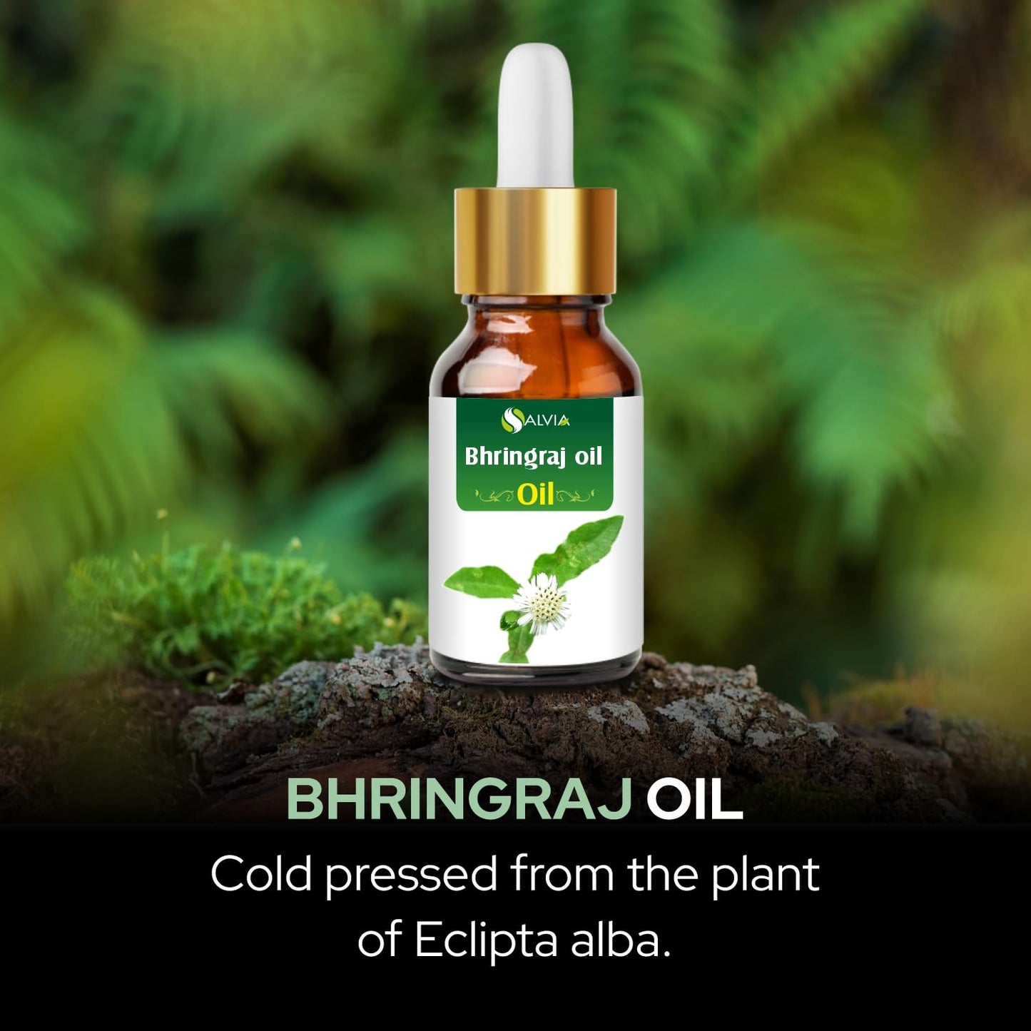 Salvia Bhringraj Oil Cosmetic Grade (15 ml / 0.51 fl oz) with dropper - Nourishing Natural Oil for Scalp & Hair Care DIY Formulations