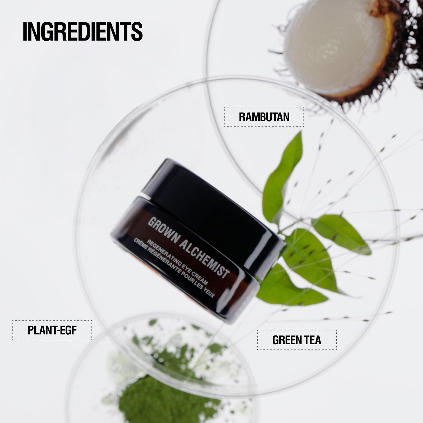 Grown Alchemist Regenerating Eye Cream, 15 mL