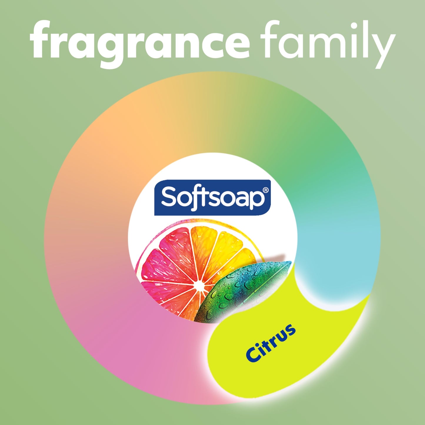 Softsoap ANTIBACTERIAL FRESH CITRUS 50OZ (Pack of 2)