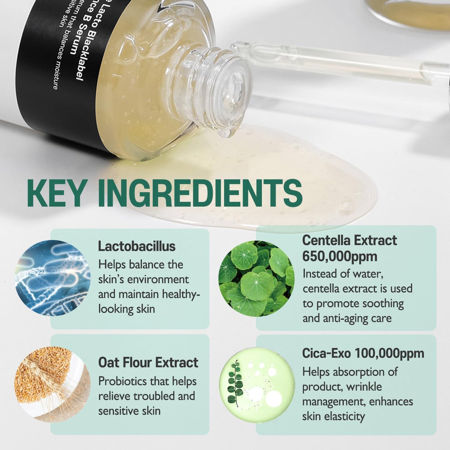 Pre Lacto Blacklabel Balance B Serum | CICA-EXO & 650,000ppm Fermented Centella | Waterless K-Beauty Serum with Lactobacillus & French Phycosaccharide for Hydration & Glass-Skin Glow (50ml)