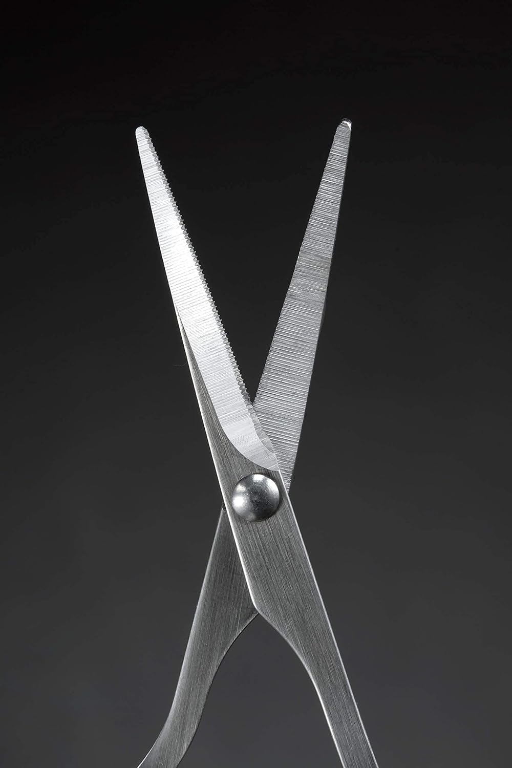 Beard & Mustache Grooming Scissors - Seki Edge SS-910 Precision Trimmers