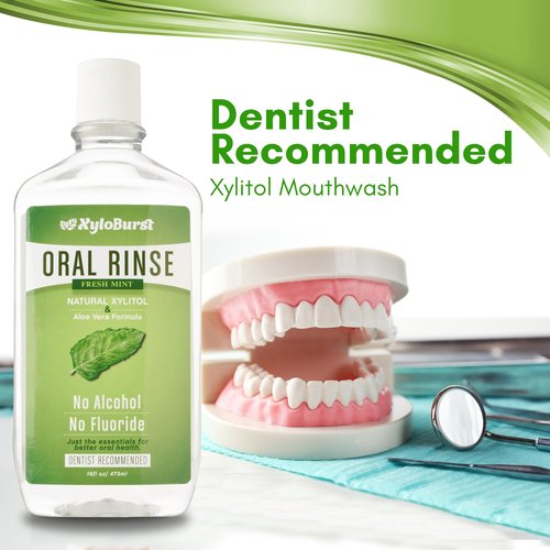 Xyloburst Oral Rinse Mouthwash - Natural Xylitol Mouthwash | Fluoride Free Mouth Wash | Alcohol Free Mouthwash | Fresh Mint Mouth Rinse | SLS Free