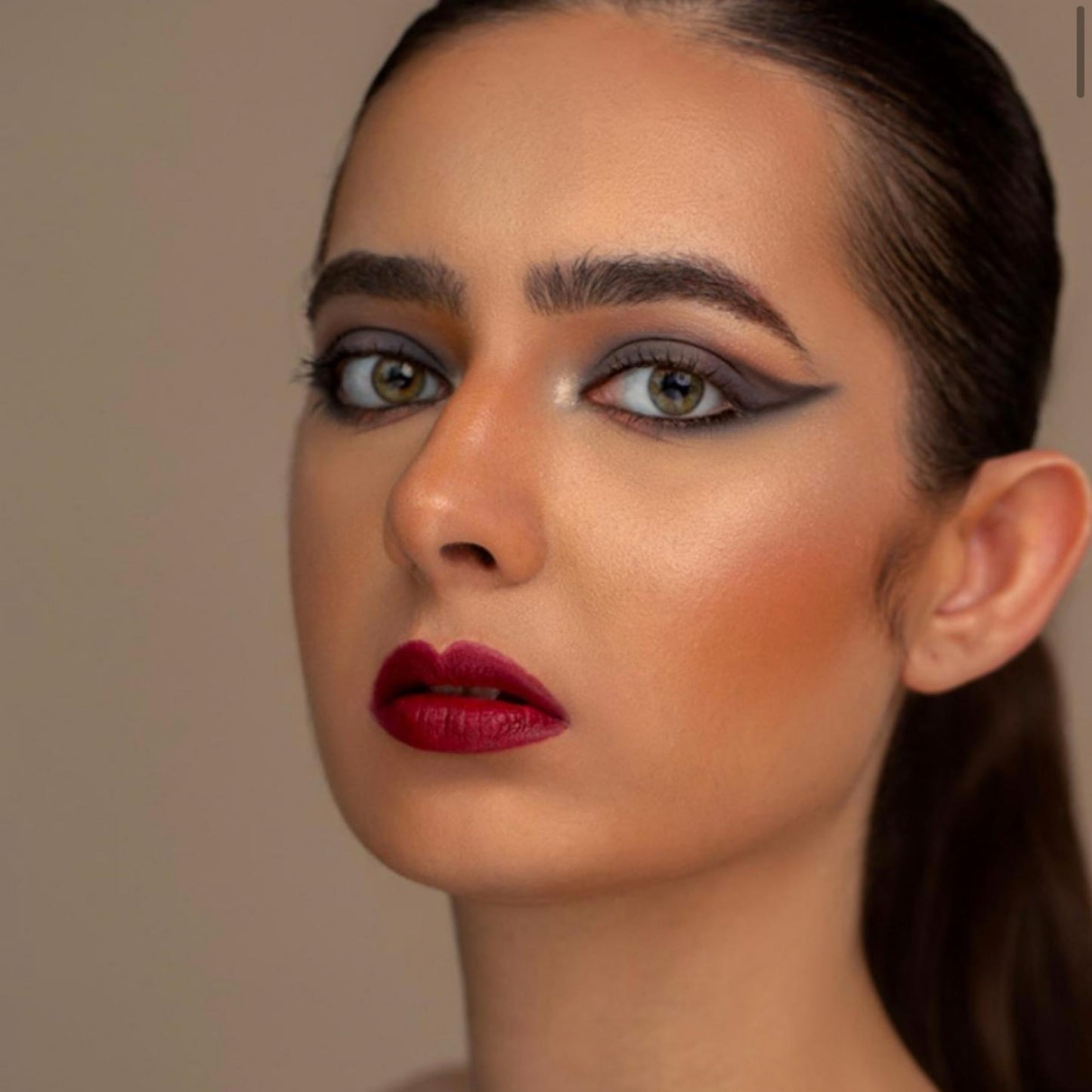 Bossy Cosmetics Matte, Long Lasting, Hydrating Vegan Lipstick with Vitamin E and Watermelon Seed Oil (Fierce - Dark Wine Color)