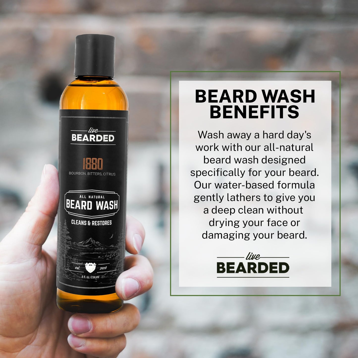 Live Bearded Beard Wash, 8 fl oz - Water-Based Face Cleanser with All-Natural Ingredients for a Gentle, Deep Clean - Made in the USA | 1880 Scent - Bourbon, Bitters, Citrus