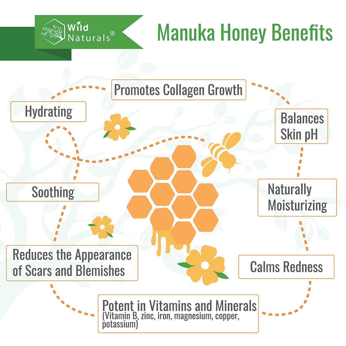Wild Naturals 100% Pure Aloe Vera Gel with Manuka Honey – Organic Gel for Sunburn Relief, Acne, Scars & Dry Scalp – Moisturizing Gel for Face, Hair & Body