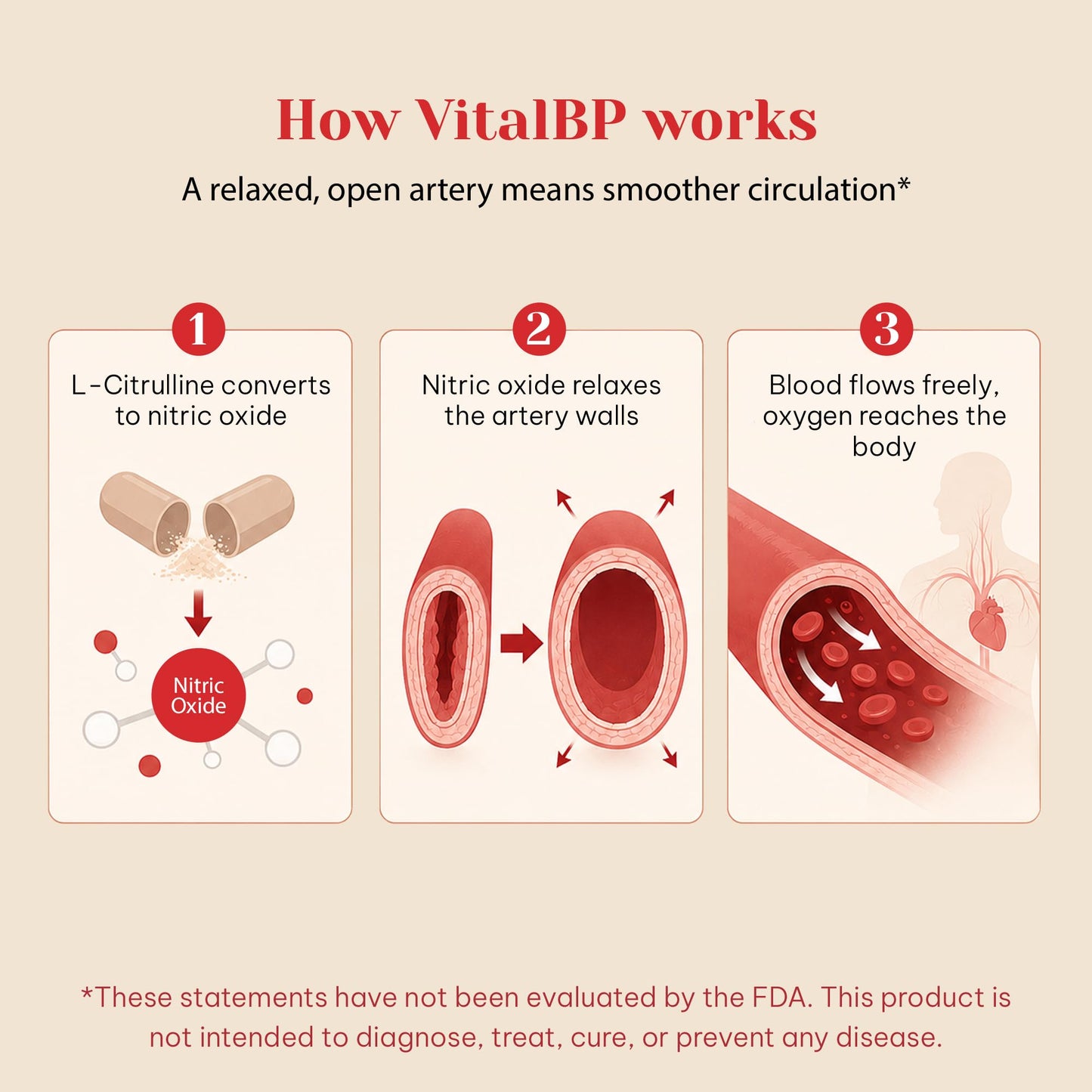 VitalBP - 2 Pack - Support for Normal Blood Pressure - Supports Blood Flow & Arteries - with CoQ10, L-Citrulline, and K2 & D3-60 Capsules
