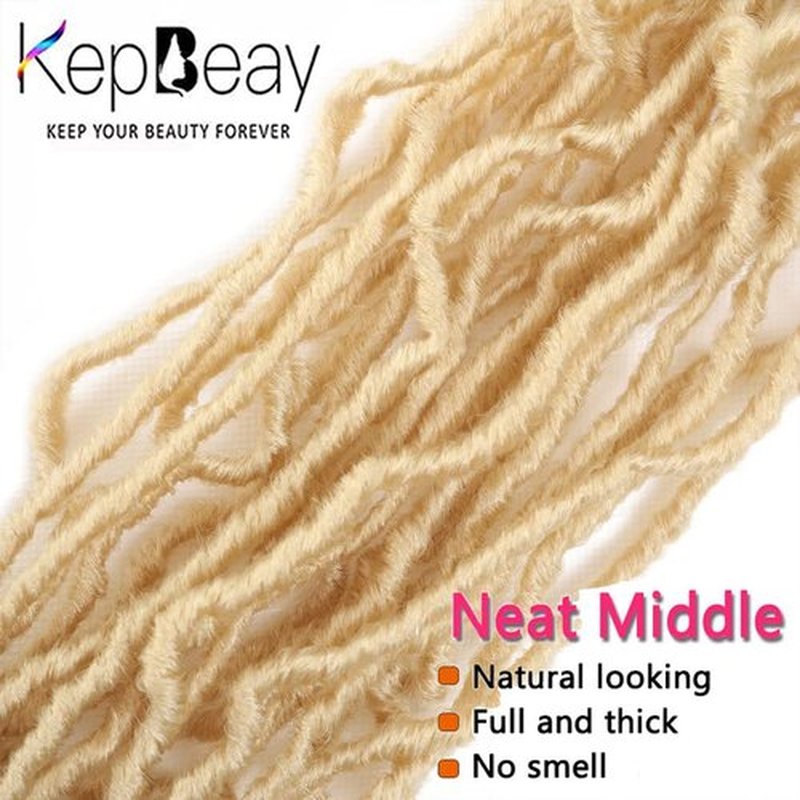 24Inch Soft Locs Crochet Hair 2 Packs Faux Locs Crochet Hair (24 Inch (Pack of 2), 613#) …