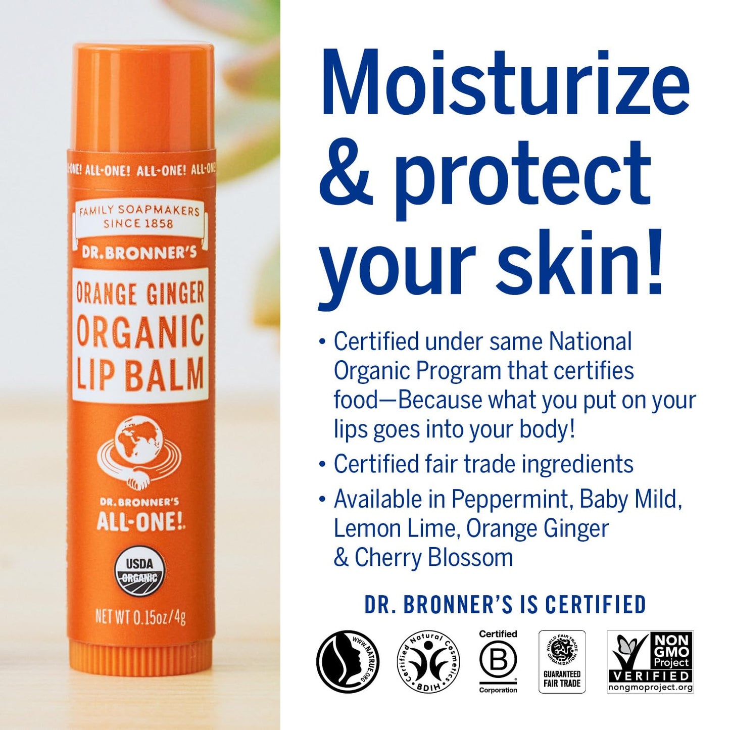Dr. Bronners Orange Ginger Lip Balm, 4 GR