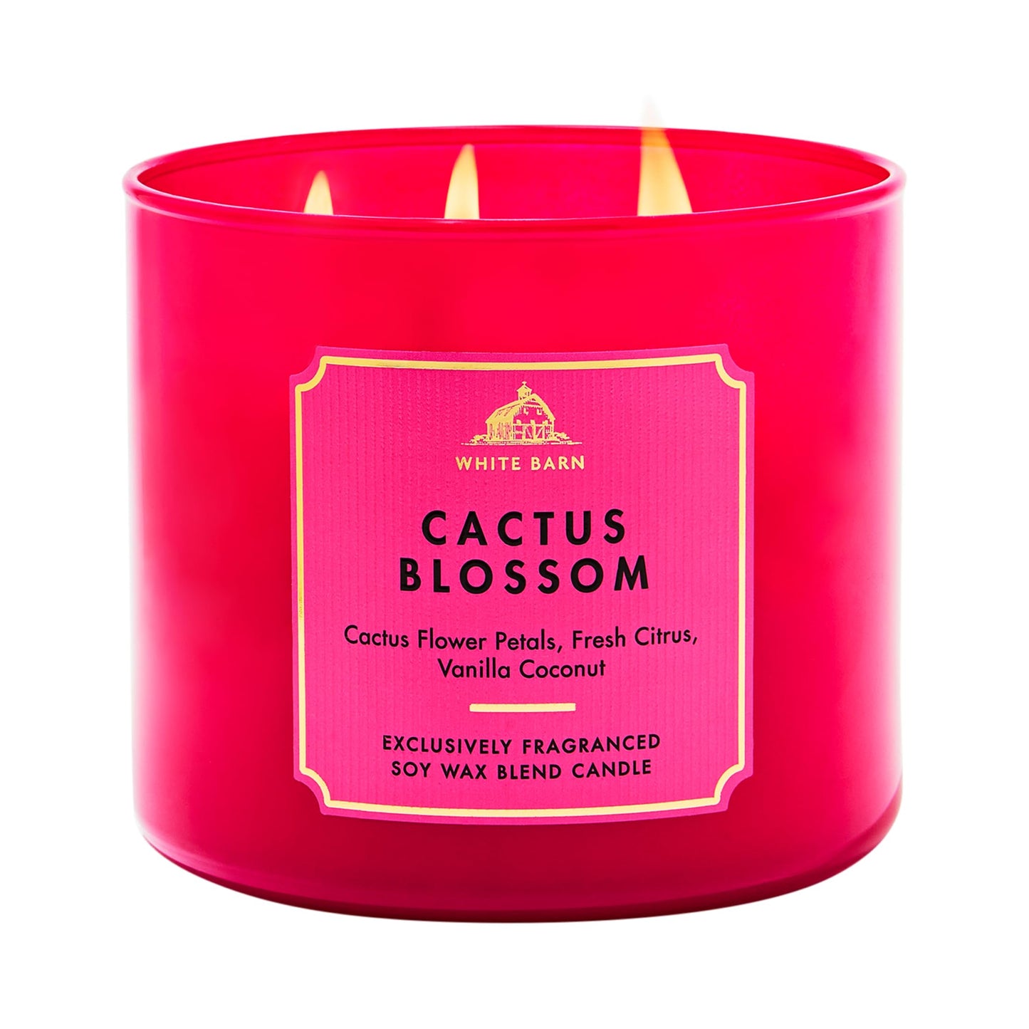 Bath & Body Works Cactus Blossom 3-Wick Candle - Scented Candle for At-Home Use - Long-Lasting, Room-Filling Fragrance - High Fragrance Oil Concentration - Soy Wax Blend