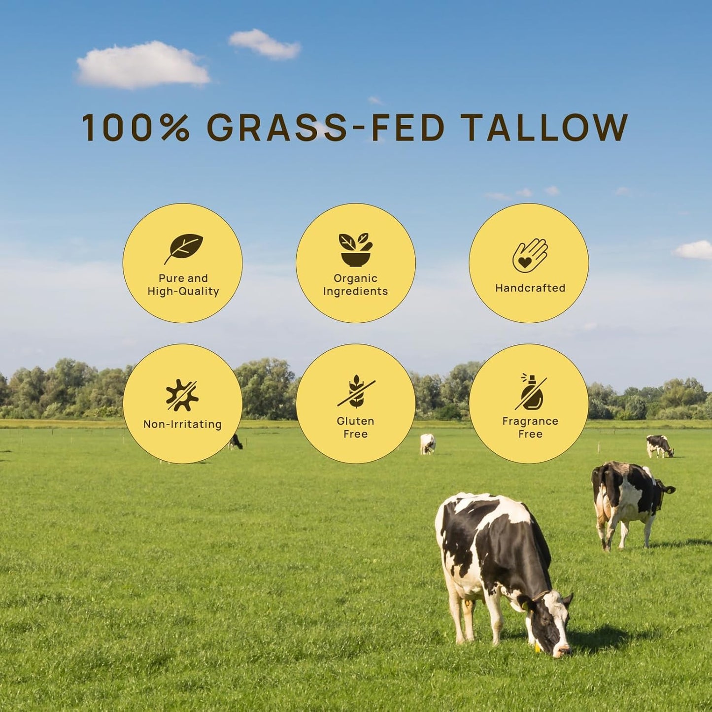 Elrisme Grass-Fed Beef Tallow for Skin: Organic Whipped Tallow and Honey Balm - Face Moisturizer & Body Cream - 2.3 Oz