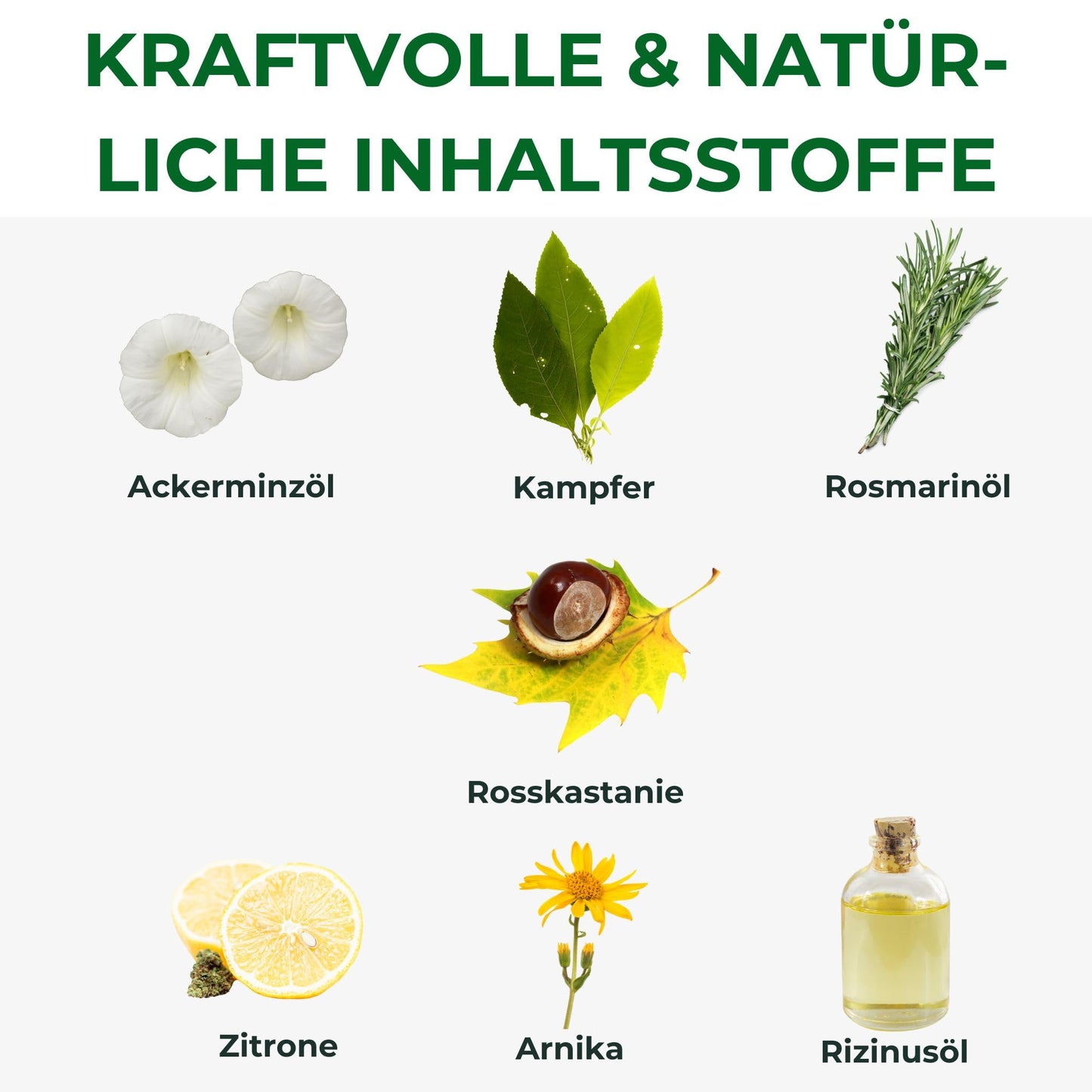 Kräuterhof Horse Balm Cools and Revitalises Precious Herbal Extracts from Horse Chestnut Arnica Rosemary and Mint Oil 500 ml Tub Sealed with Aluminum Foil