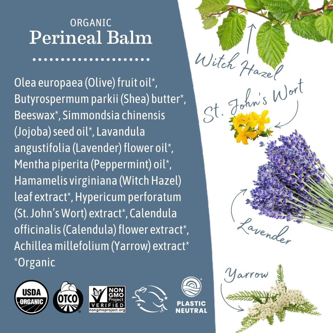 Earth Mama Organic Perineal Balm | Naturally Cooling Herbal Salve for Pregnancy and Postpartum Relief with Witch Hazel & Calendula, Feminine Care Essentials, No Benzocaine or Butane, 2-Oz (3-Pack)