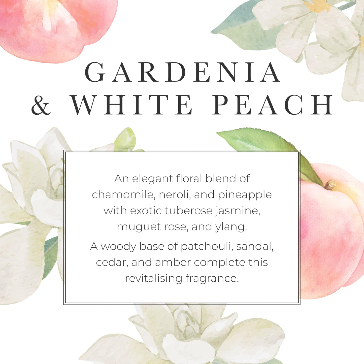 Pecksniff's Gardenia & White Peach Hand Wash – Luxury Liquid Hand Soap 725 ml/24.52 fl oz, Softening, Hydrating, Revitalising, Cruelty-Free, Made in England