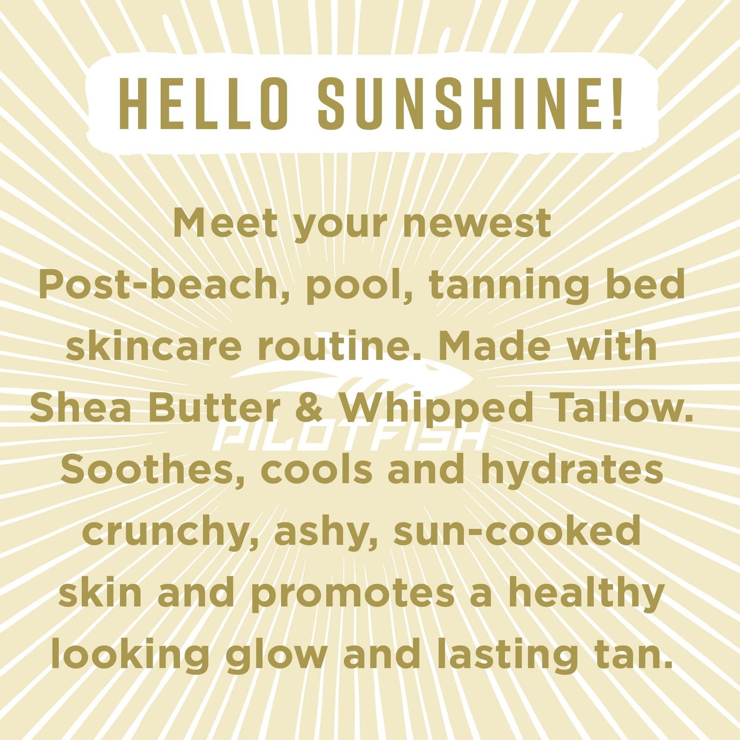 Pilotfish After Sun Body Butter Moisturizing Cream - Shea Butter & Whipped Tallow, Simple Ingredients, After Sun Lotion, Body Lotion, Fragrence Free, After Sun Care, After Sun Skin Care, 3.8oz