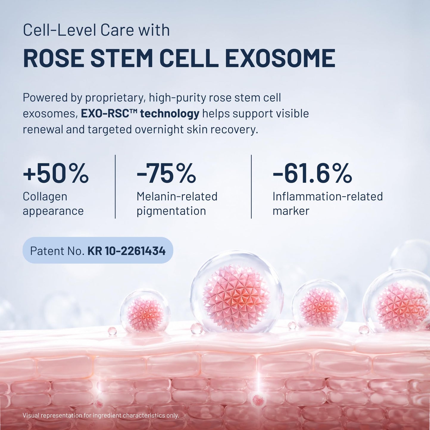 ASCE+ Exosome Ampoule Pro – 5 Weeks Intensive Skin rejuvenating care with 70,000ppm Ultra-High Concentration Rose Exosome, Hydrating & Skin Glow, Boosts Collagen, Wrinkle & Pigmentation Care