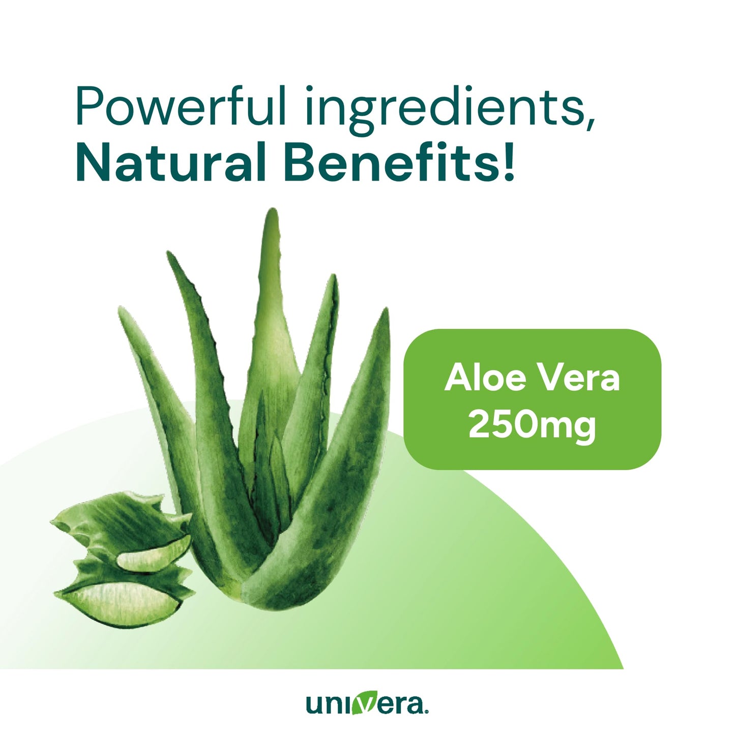 Univera Aloe in the Raw, Made with 100% Pure Organic Aloe Vera Gel, Suitable for All Skin Types, Sunburn Relief, No Sticky Residue, 4.0oz.