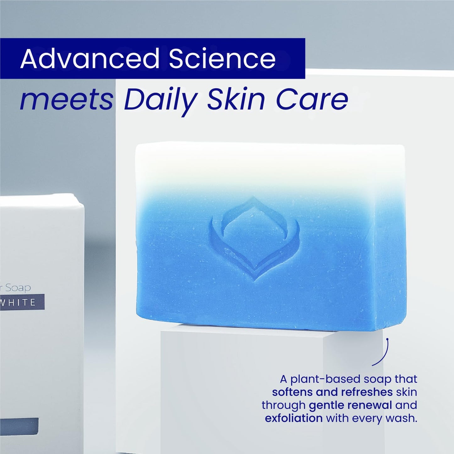 Relumins Advance Intensive Skin Repair Soap with TA Stem Cell, Rejuvenation, Body Soap Bar, and Licorice for Softer, Smooth Skin, 135g x 1 Bar with Net