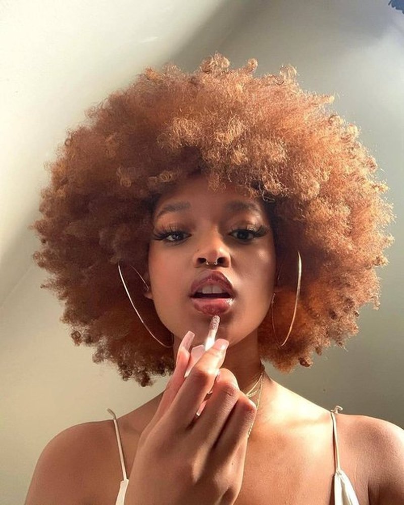 HIHOO Short Afro Wig with Bangs for Black Women Afro Kinky Curly Wig 70s Premium Synthetic Big Afro Wig(Brown)