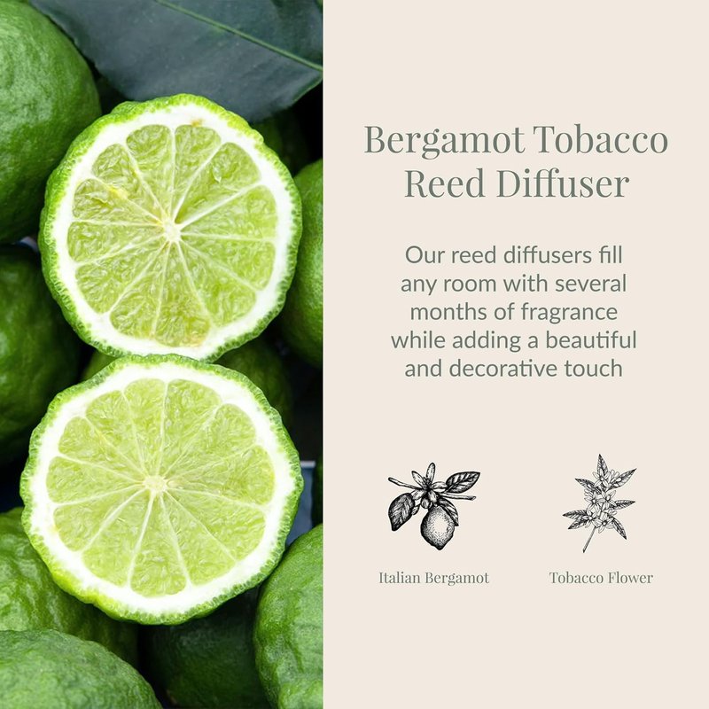 Bergamot Tobacco Reed Diffuser - Home Fragrance with Decorative Wooden Cap & 10 Reeds | 7.85 fl oz
