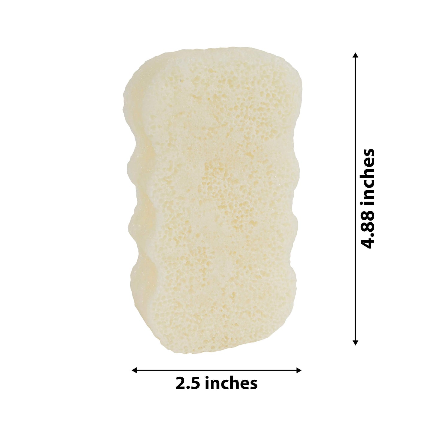 Spongeables Spa Shower Gel in a Sponge, Exfoliator and Moisturizer for the Body, 20+ Washes, Lather Body Wash Infused Sponge, Spa Sponge for Healthy Skin, 3.5 Oz Sponge, White Rose, 1 Count, (Pack of 1)
