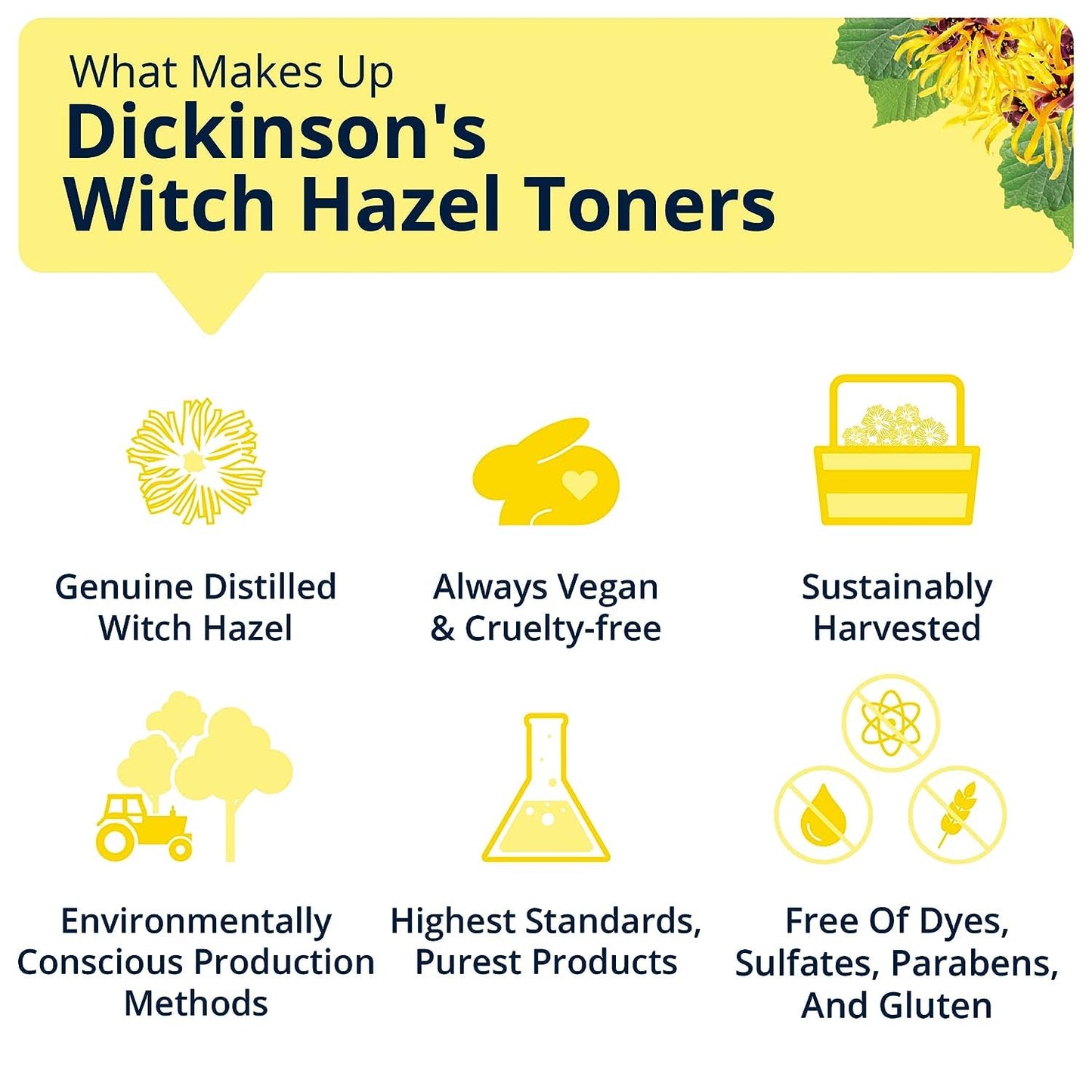 Dickinson's Enhanced Witch Hazel Hydrating Toner with Rosewater, Alcohol Free, 98% Natural Formula, 16 Fl Oz (Pack of 2)