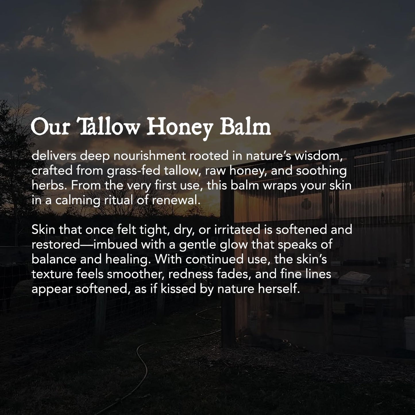 Chaumiere Herb Infused Organic Grass Fed Beef Tallow Honey Balm - Face Moisturizer with Raw Honey & Natural Herbs - Whipped Cream for Dry & Sensitive Skin - 2.5 oz (Sweet Orange)