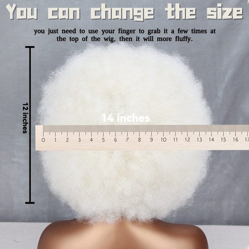 Xinran Short White Afro Wig for Black Women, Disco 70s Afro Wig for Women, Big 60s Puff Wig Bouncy Soft For Party Halloween and Party