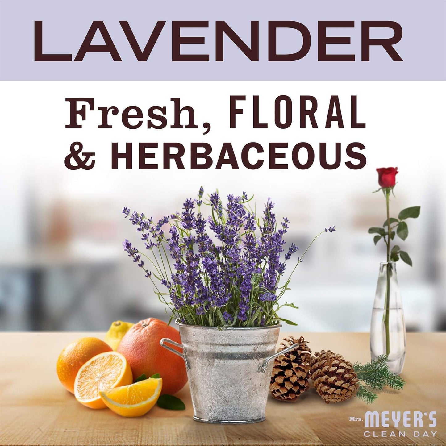 Mrs. Meyer's Clean Day Hand Soap Refill, Lavender, 33 Fl oz (Pack of 2)