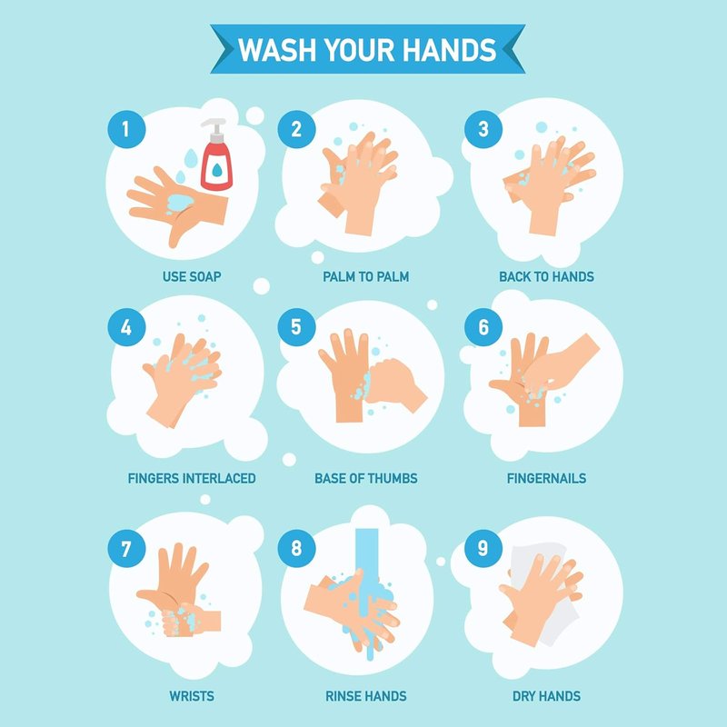 Hand Soap - Paraben-Free Liquid Hand Wash | 8oz, Safe for Kids, Ideal for Home or Office