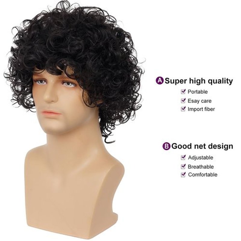 Dsimeig Mens Curly Wig Black Short Curly Rocker Party Wig Halloween Costume Cosplay Hair Wig