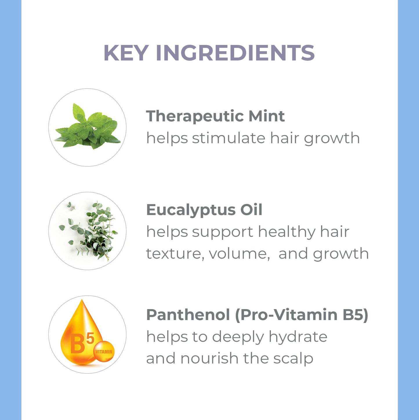 Derma E Thickening Shampoo for Thinning Hair – Sulfate Free Therapeutic Mint and Herbal Volumizing, 10 oz