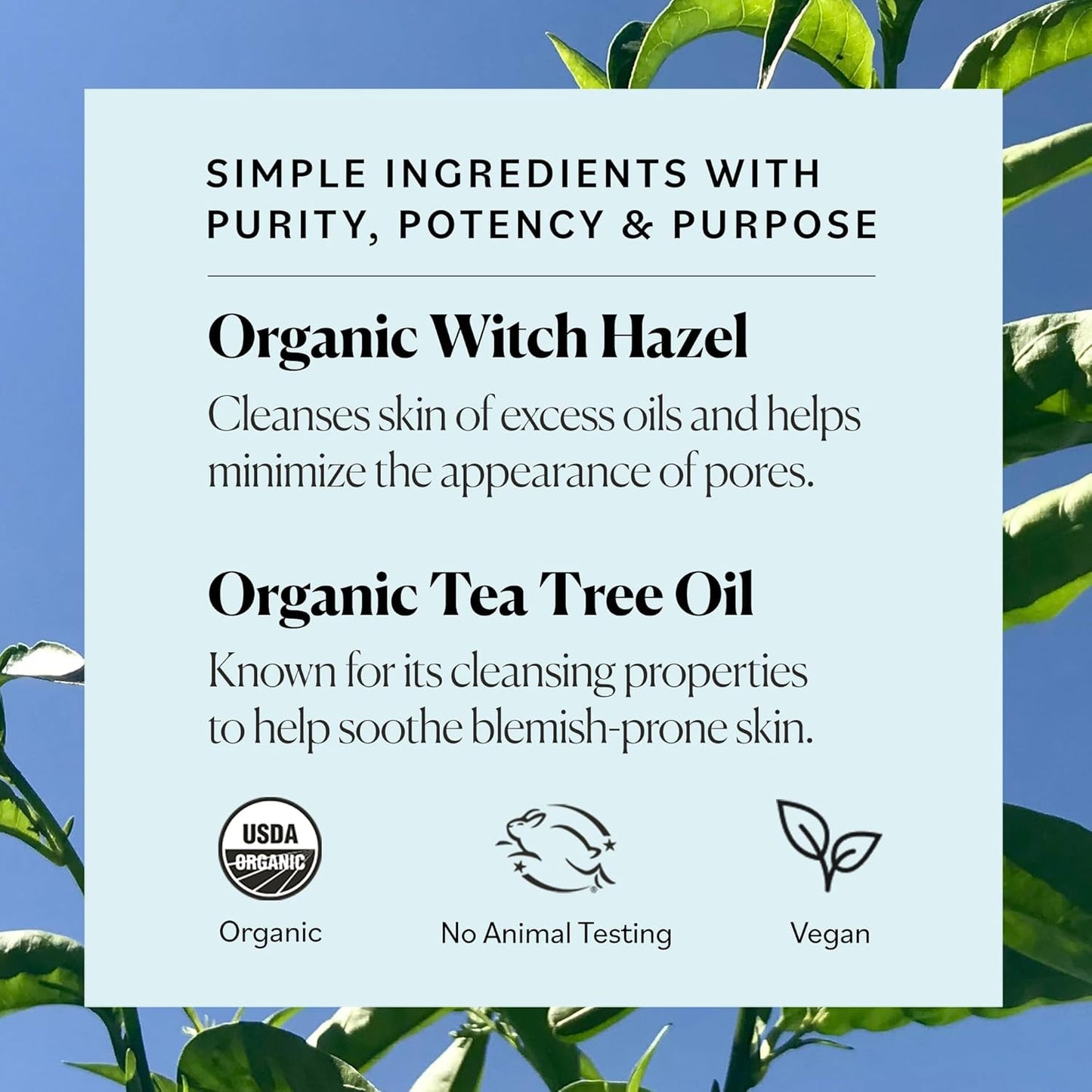 Organic Tea Tree & Witch Hazel Facial Toner - Purifying Hydrating Solution for Blemish-Prone Skin | 8 fl oz