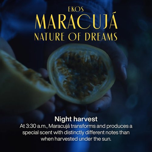 natura - Ekos Maracujá Nature of Dreams Body Lotion - Calming Lotion - 24 Hours of Hydration - Essential Fatty Acids - Vegan Skin Care - Brazilian Beauty Secrets - Body Care - 13.5 fl oz (400ml)