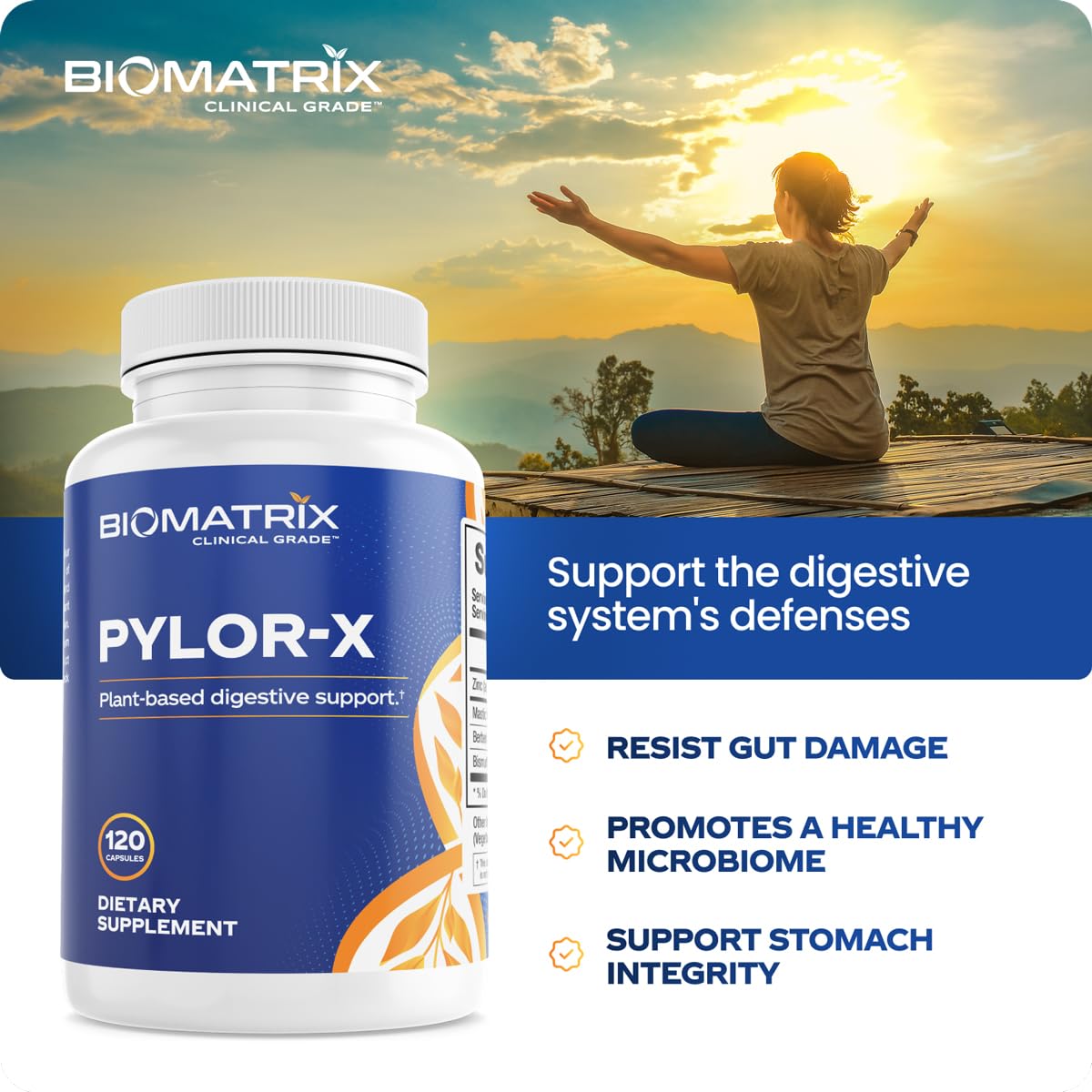BioMatrix H Pylori Supplement, Mastic Gum, Berberine, Zinc Carnosine & Bismuth Salts, Probiotic Alternative, Gut Formula, 120 Capsules, 30-60 Day Supply
