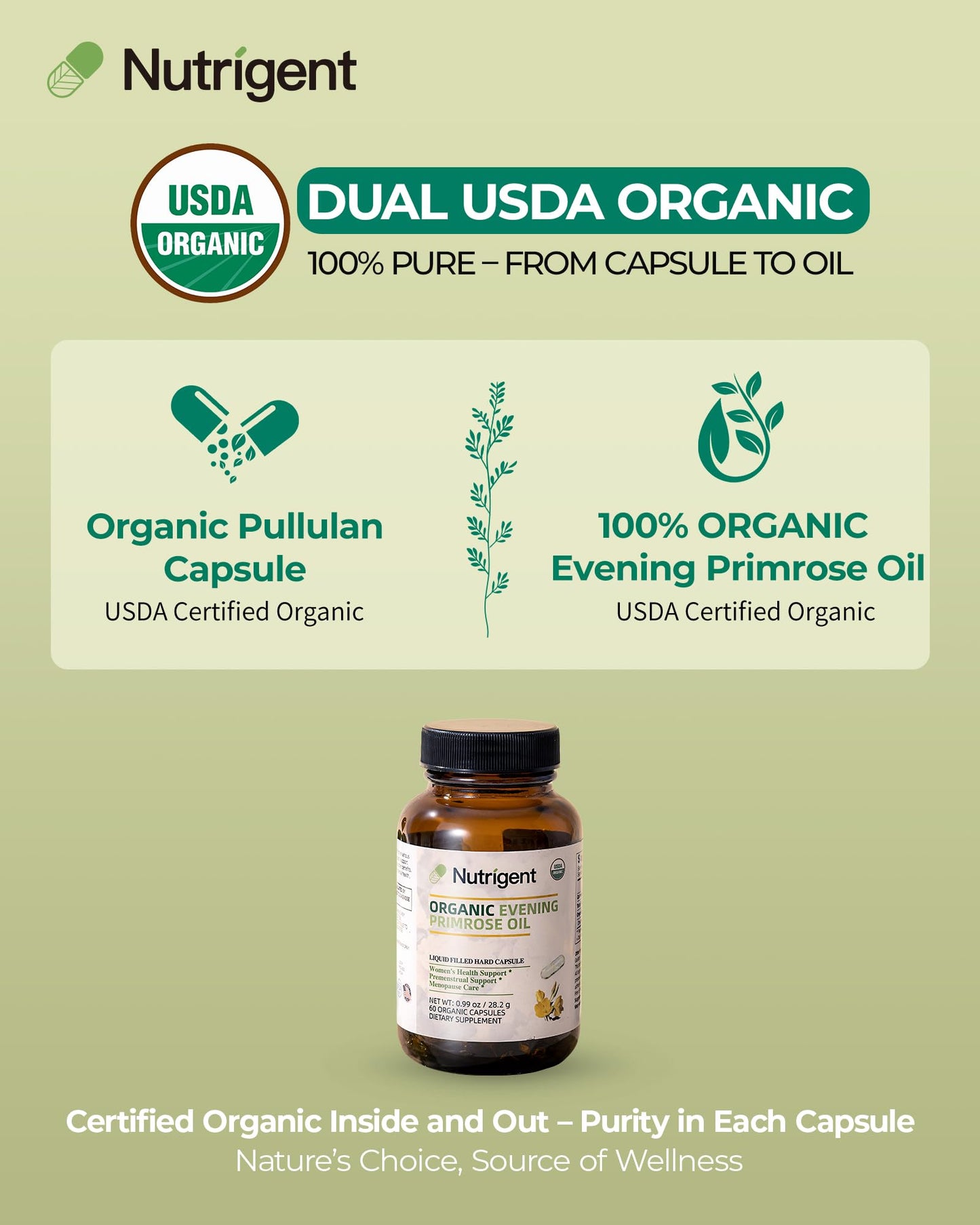 Nutrigent Organic Evening Primrose Oil Supplement, 940 mg 100% Pure with 10% GLA, High Absorption Liquid Organic Capsules, Promotes Women's Health & Skin Health, Cold Pressed, 60 Count